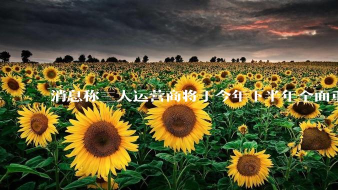 消息称三大运营商将于今年下半年全面重启eSIM,eSIM有哪些好处?为何此前暂停这一业务?