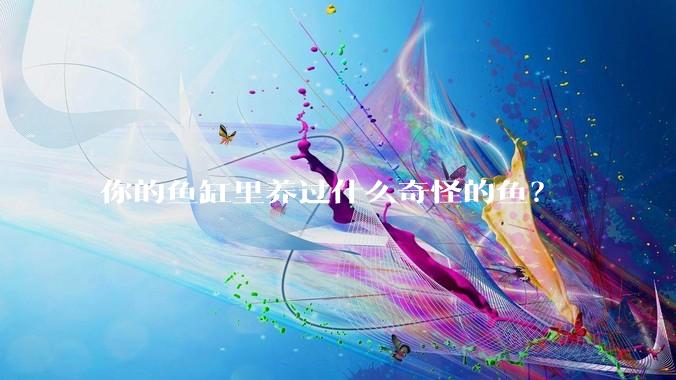 你的鱼缸里养过什么奇怪的鱼?