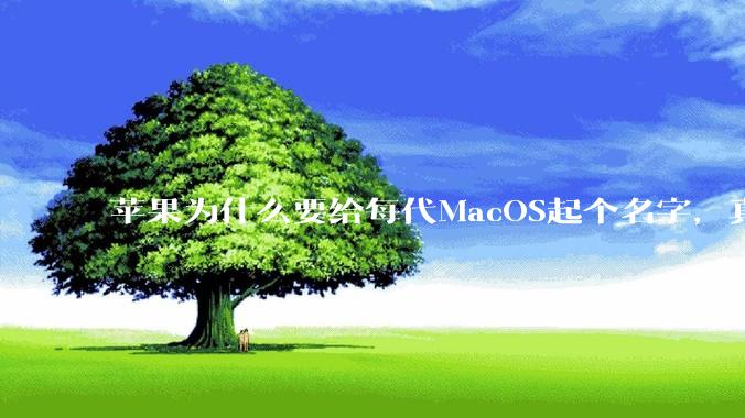苹果为什么要给每代MacOS起个名字,真以为人们记得住分得清吗?
