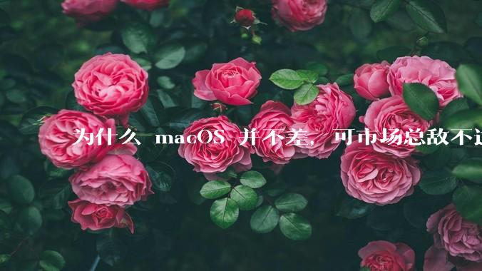 为什么 macOS 并不差,可市场总敌不过 Windows?