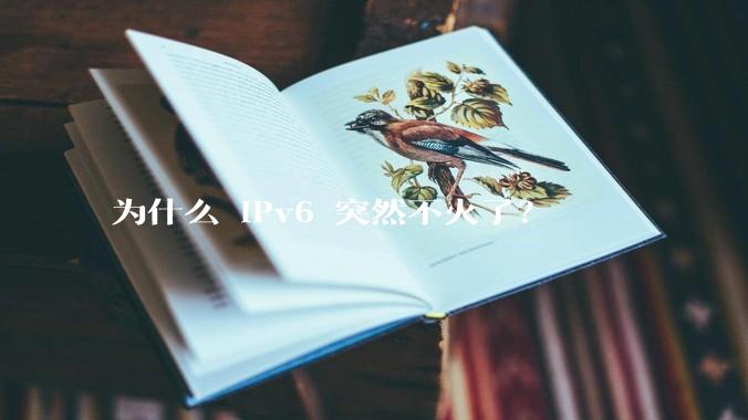 为什么 IPv6 突然不火了?