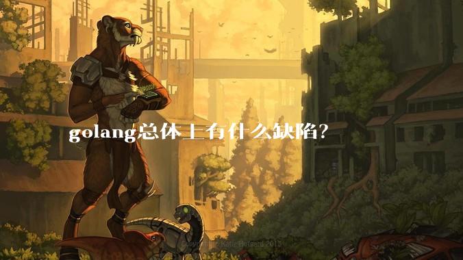 golang总体上有什么缺陷?