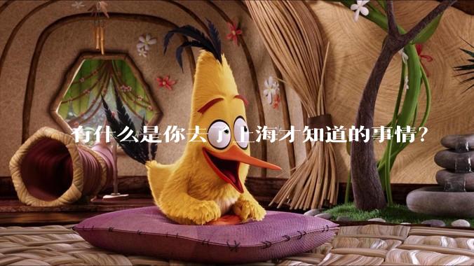 有什么是你去了上海才知道的事情?
